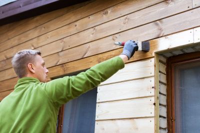 Vinyl Siding Painting