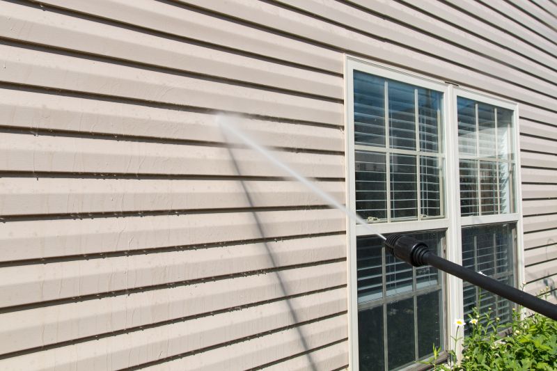 Vinyl Siding Painting