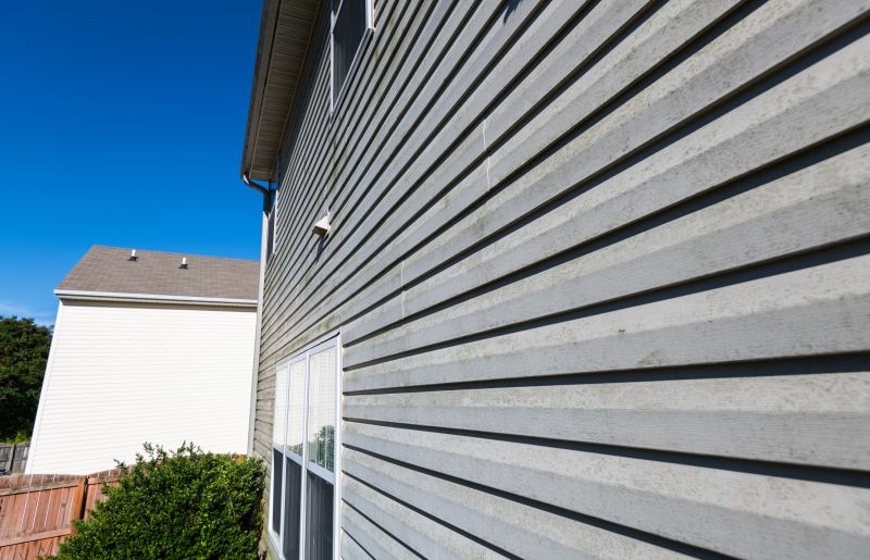 Vinyl Siding Painting