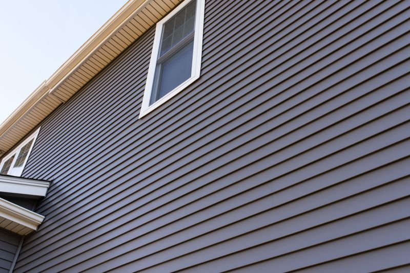 Vinyl Siding Painting
