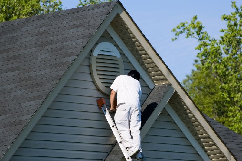 Vinyl Siding Painting