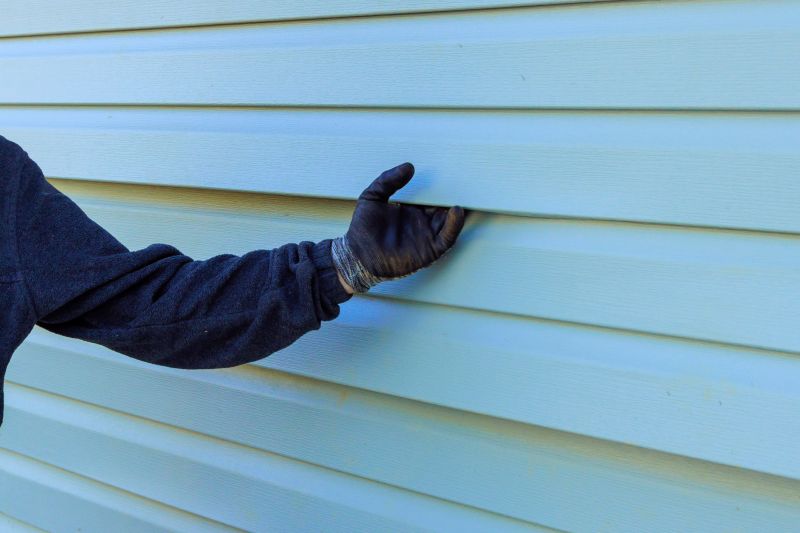 Vinyl Siding Painting