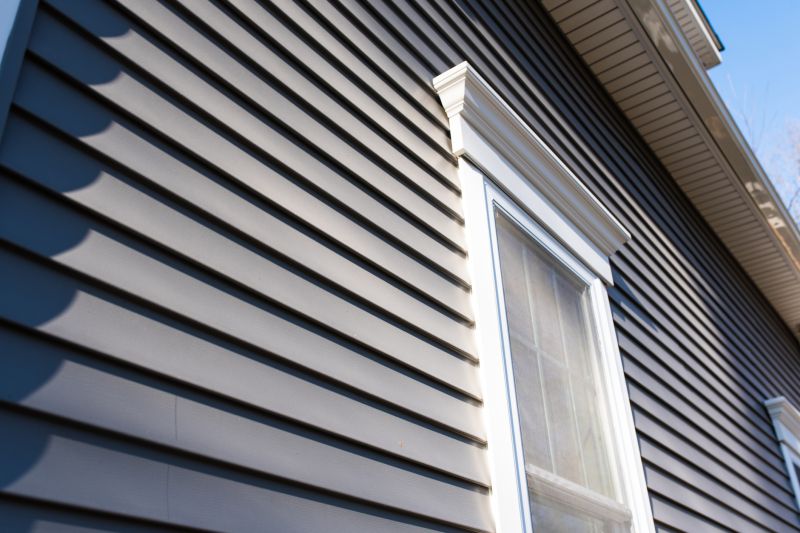 Vinyl Siding Painting